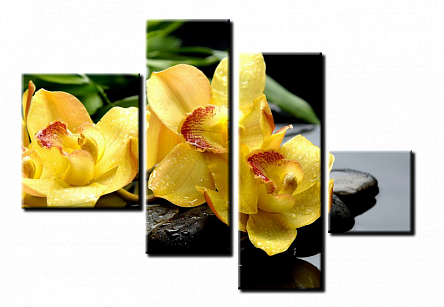 Жовті орхідеї 2