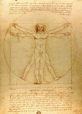 Картина Витрувианский человек  - Да Винчи Леонардо 