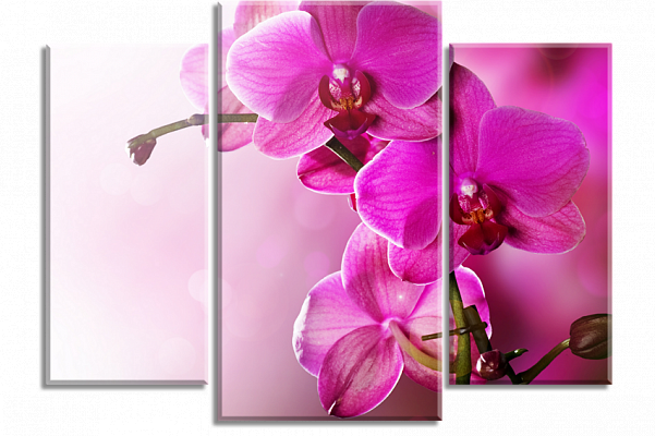 Картина Фиолетовое совершенство - Из трех частей 