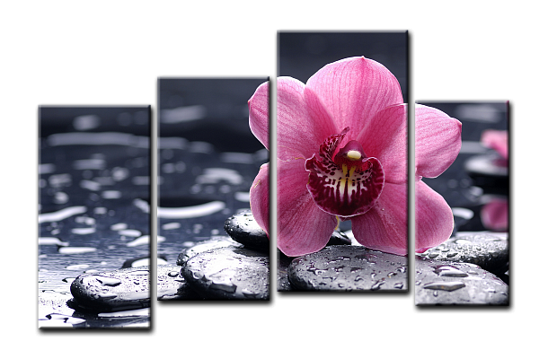 Картина Розовая орхидея на камнях - Из четырех частей 