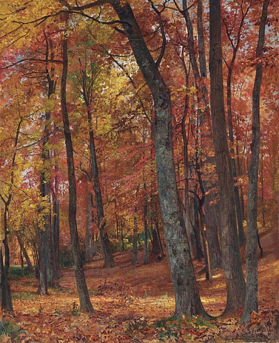 Лісовий пейзаж