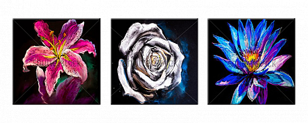 Цветы на черном. Триптих