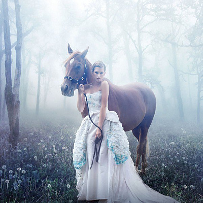 Картина Дівчина з конем 2 - Жіночі сучасні 