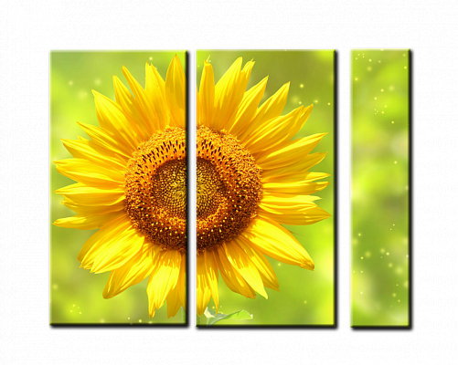Картина Соняшник - З трьох частин 