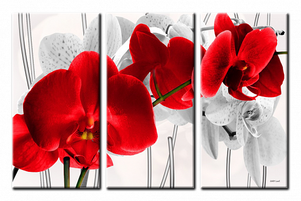 Картина Орхидея 2 - Из трех частей 
