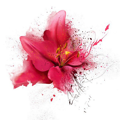 Картина Квітковий сплеск - Квіти 