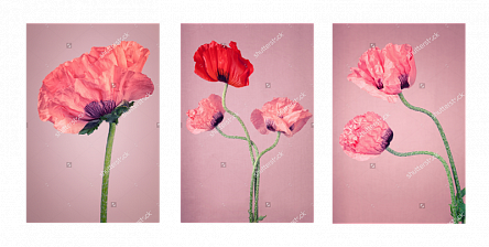 Розовые цветы. Триптих