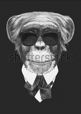 Картина Мавпа в окулярах - Картини олівцем 