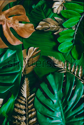 Картина Коллаж из листьев - Природа 