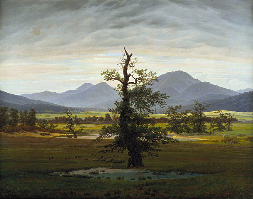 Картина Фридрих Каспар Давид - Одинокое дерево - Пейзаж 