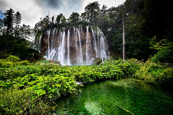 Картина Бурный водопад - Природа 