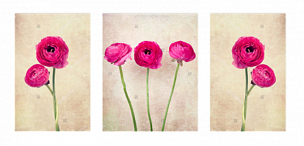 Розовое цветение. Триптих