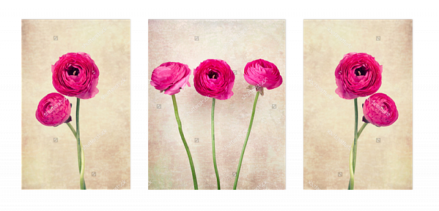 Картина Рожеве цвітіння. Триптих - З нерівними частинами 