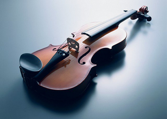 Картина Скрипка5 - Музыка 