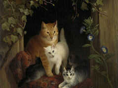 Гнездо с котятами