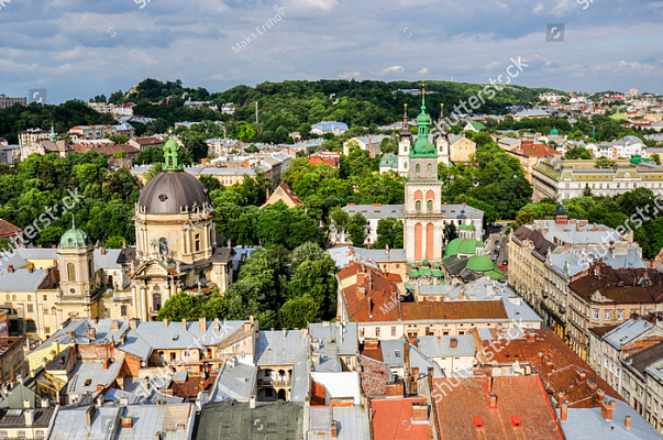 Картина Панорама города 3, Львов - Город 