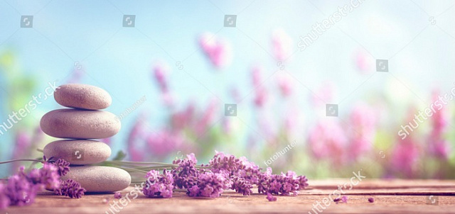 Картина Лаванда и камни - Цветы 
