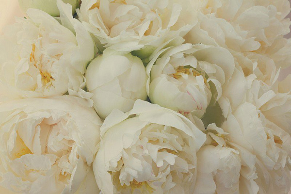 Картина Білий букет - Квіти 