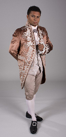 Придворный