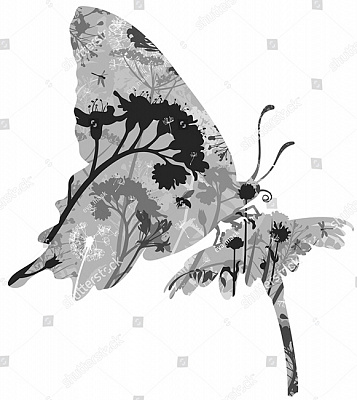 Картина Бабочка и цветок - Графика 