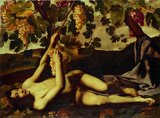 Картина Молодой Вакх - Караваджо Микеланджело  