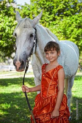 Картина Люблю коней - Дитячі сучасні 
