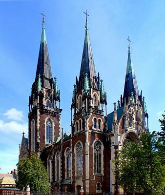 Картина Церковь Святых Ольги и Елизаветы, Львов - Городской пейзаж 