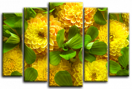 Жовті квіти