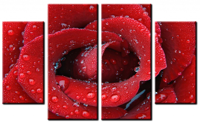 Картина Роза - Из четырех частей 