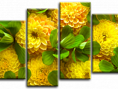 Желтые цветы 2