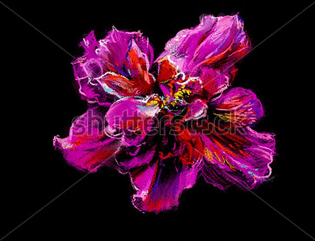 Красный гибискус