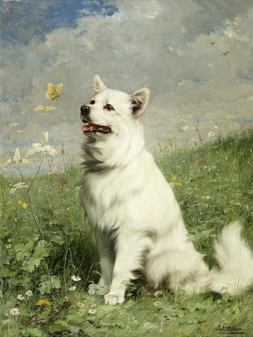 Білий пес