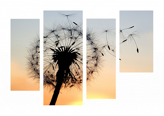Картина Одуванчик на закате - Из четырех частей 