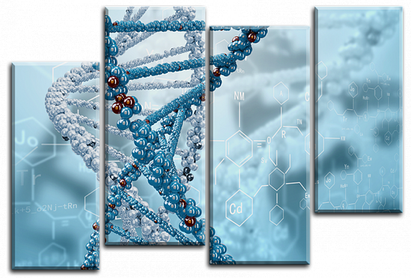 Картина Молекула ДНК 2 - З чотирьох частин 