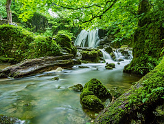 Водопад в зелени леса