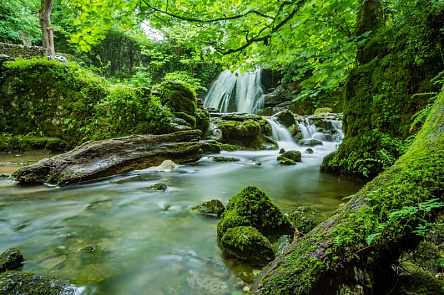 Водопад в зелени леса