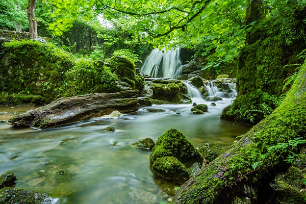 Картина Водоспад у зелені лісу - Природа 