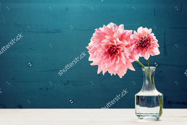 Картина Два цветка - Цветы 