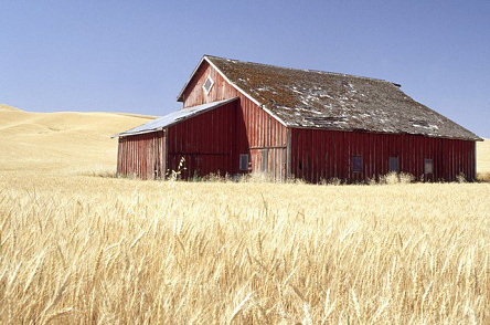 Домик в поле 2