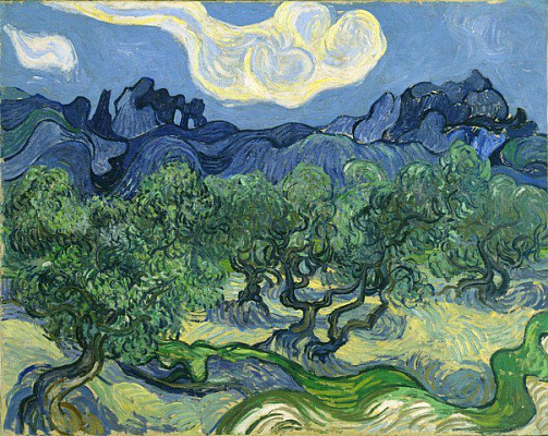 Картина Оливковые деревья - Ван Гог Винсент 