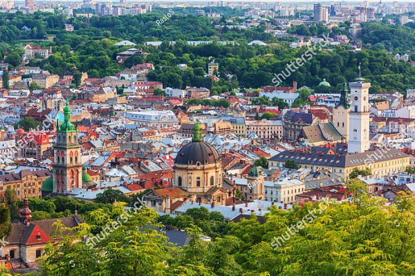 Картина Панорама города 4, Львов - Город 