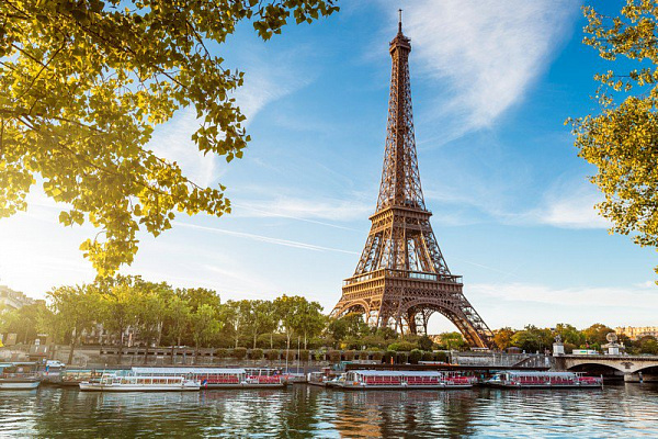 Картина Вид Парижа 6 - Город 