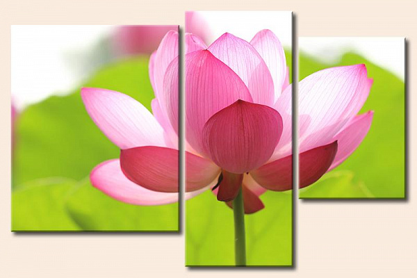 Картина Чарівна квітка - З трьох частин 