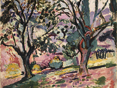 Деревья оливы в цвету
