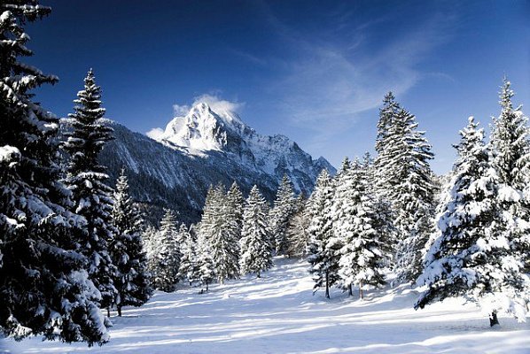 Картина Снег в горах - Природа 