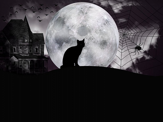 Картина Кот в свете луны - Фэнтези 