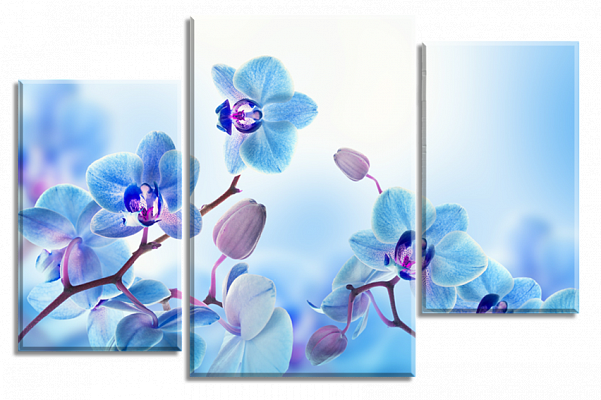 Картина Блакитні орхідеї 2 - З трьох частин 