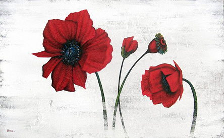 Червоні квіти