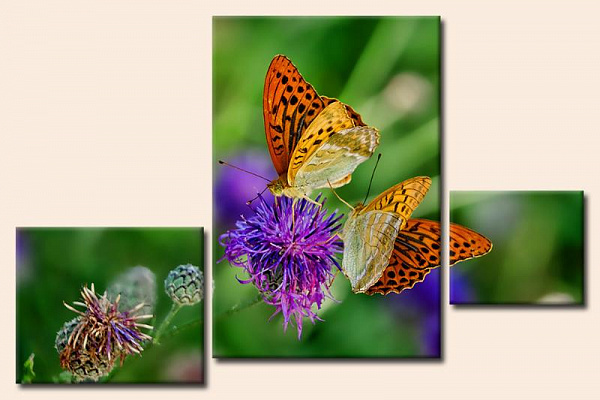 Картина Метелики на барвистих квітах - З трьох частин 