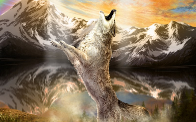 Картина Воющий волк - Животные 